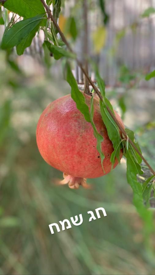 Habait ba Shomera Bagian luar foto